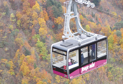 ロープウェイで紅葉の天元台高原へ