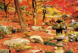 群馬生まれの幻のりんご『ぐんま名月』狩りと朱に染まる日本庭園『徳明園』