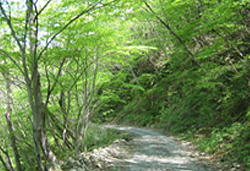 <日本一遅い 山開き>登山会 第2弾! 往生山
