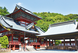 静岡の徳川家康ゆかりの地を巡る旅