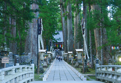 伊勢神宮・高野山と南紀ぐるり一周 4日間
