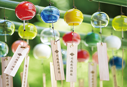 夏詣!氷川神社『縁むすび風鈴』と小江戸川越