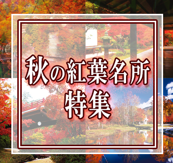 常磐交通観光のイチオシツアー