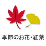 季節のお花・紅葉
