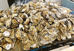 冬の味覚!『松島かき小屋』牡蠣食べ放題