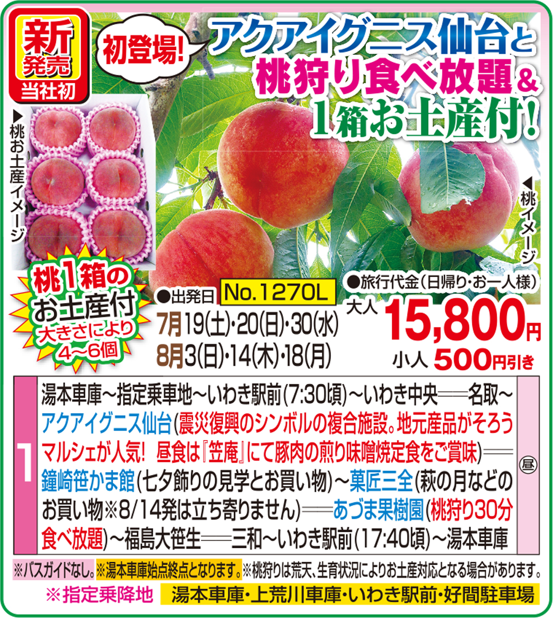 メイン