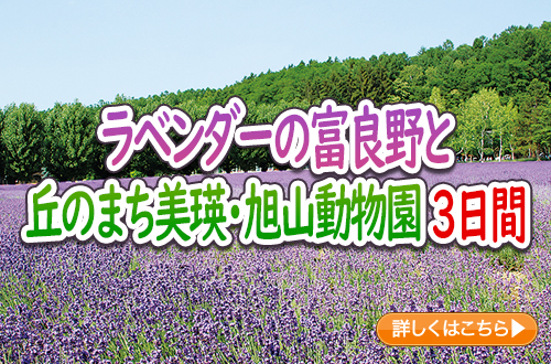 ラベンダーの富良野と丘のまち美瑛・旭山動物園　３日間