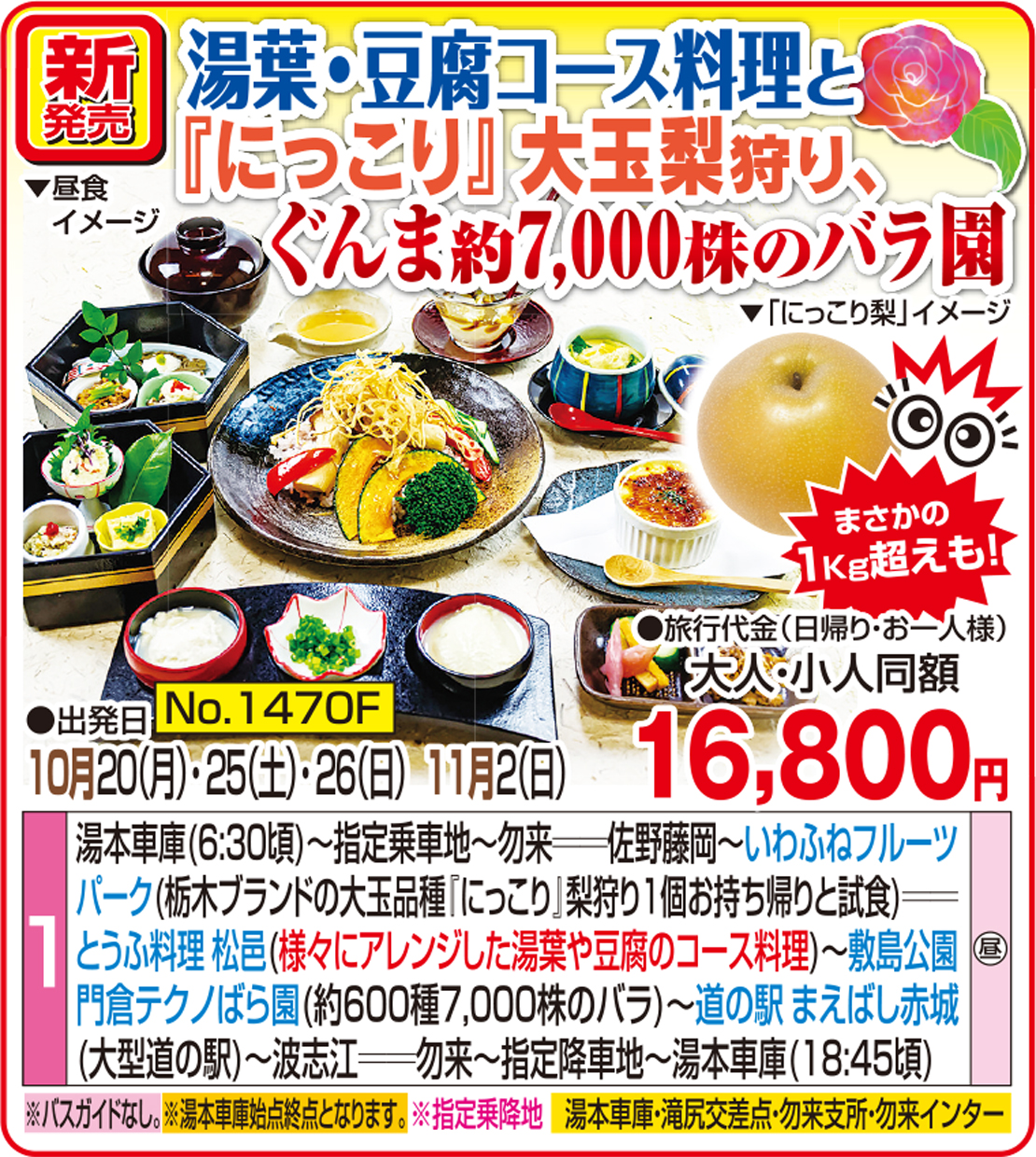 メイン
