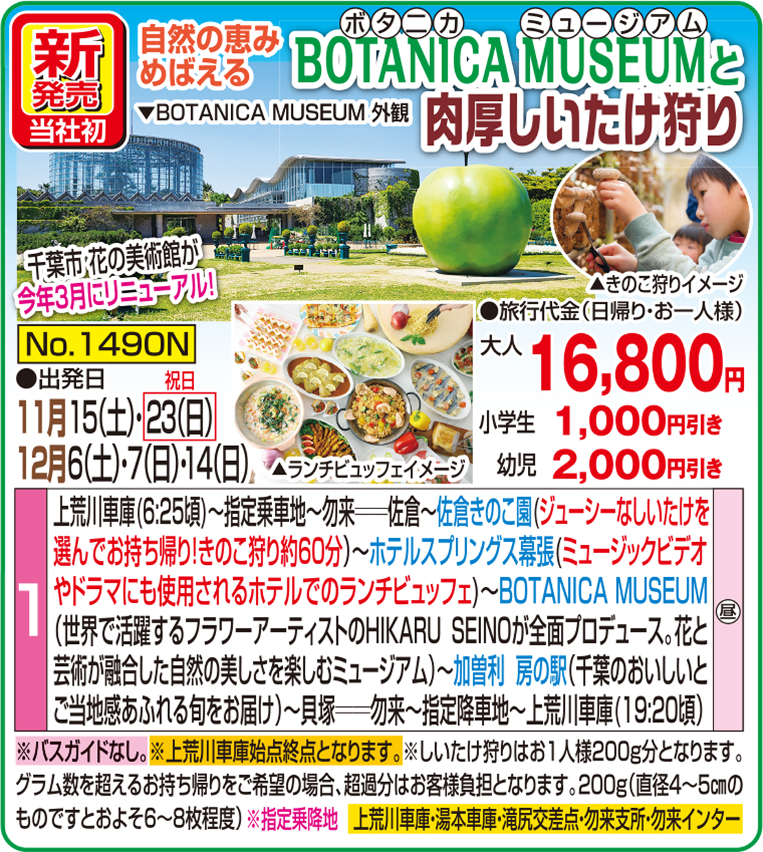 メイン