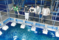 魅惑?の『外来種展』バックヤードツアー