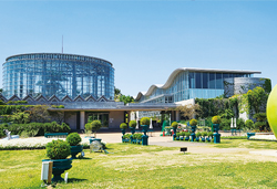 BOTANICA MUSEUMと肉厚しいたけ狩り
