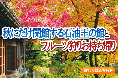 秋にだけ開館する石油王の館とフルーツ狩りお持ち帰り