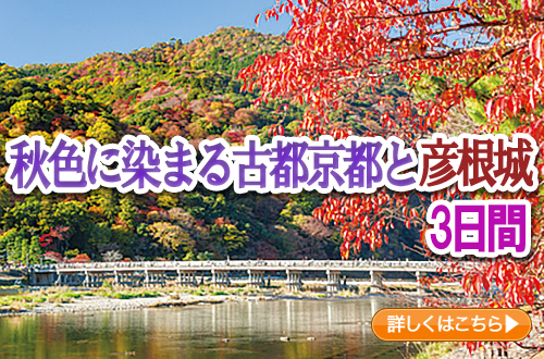 秋色に染まる古都京都と彦根城　３日間