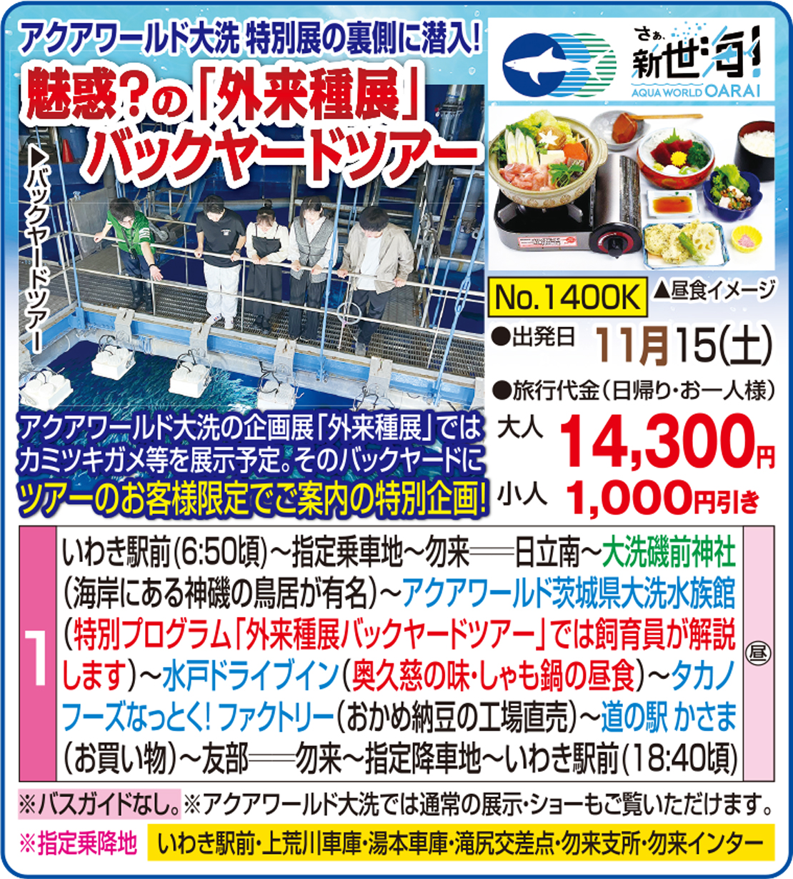メイン