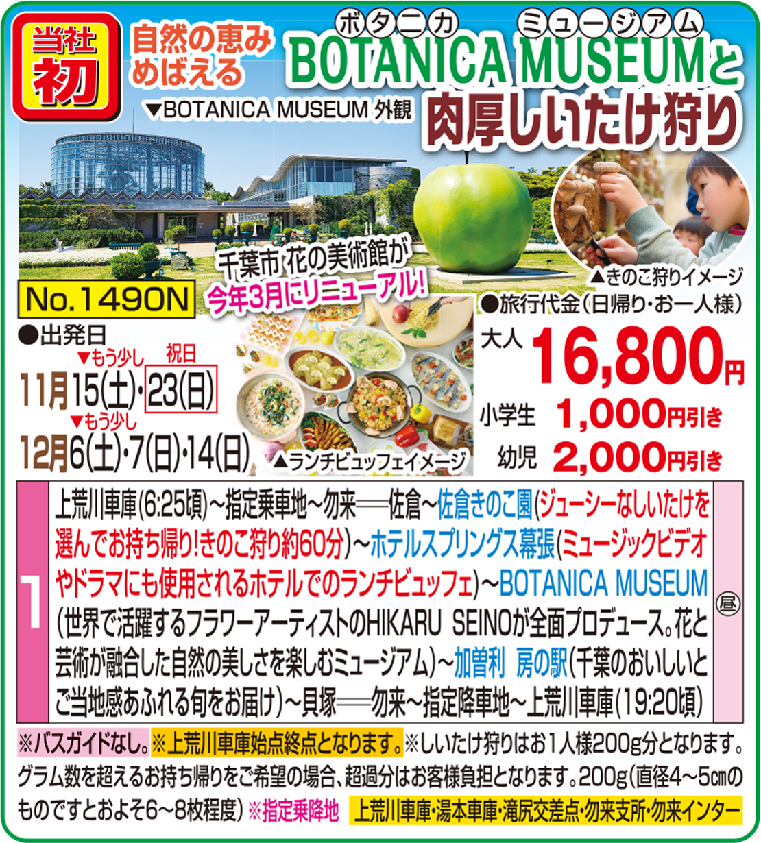 メイン