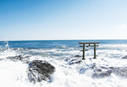 いばらき神社めぐりとお買い物ツアー