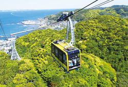 成田山新勝寺と鋸山ロープウェイ、春の訪れ感じる房総半島