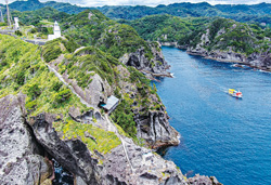 箱根・伊豆・鎌倉　ぐるっと駆けめぐり　３日間