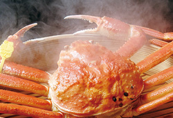 冬の贅沢！カニの王様タグ付き『越前がに』を食す北陸路　３日間