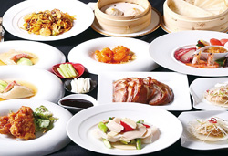 風流な梅の名所『三渓園』と横浜中華街・中華料理約130種食べ放題!