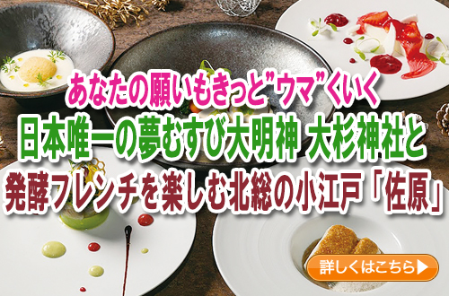 日本唯一の夢むすび大明神 大杉神社と発酵フレンチを楽しむ北総の小江戸「佐原」