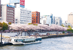 春のうららの隅田川遊覧と浅草フリータイム