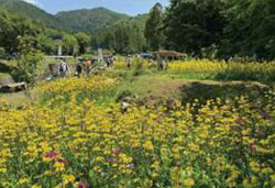 第３弾　季節の花々・群生地めぐり