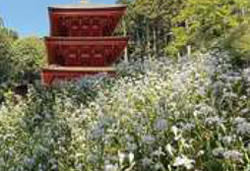 第２弾　季節の花々・群生地めぐり