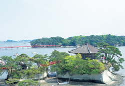 お刺身・牡蠣・牛タン食べ放題と海鮮せんべい＆新鮮いちご詰め放題
