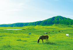 熊本城と神話の里高千穂、大地の力感じる別府温泉 3日間