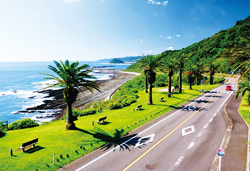 フェニックス・シーガイア・リゾートに泊まる 神話のふるさと宮崎と阿蘇 3日間