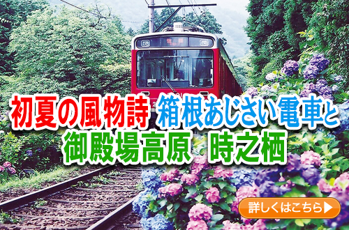 初夏の風物詩　箱根あじさい電車と御殿場高原　時之栖