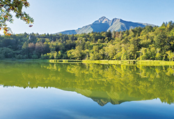 最北の離島　利尻島・礼文島　５日間