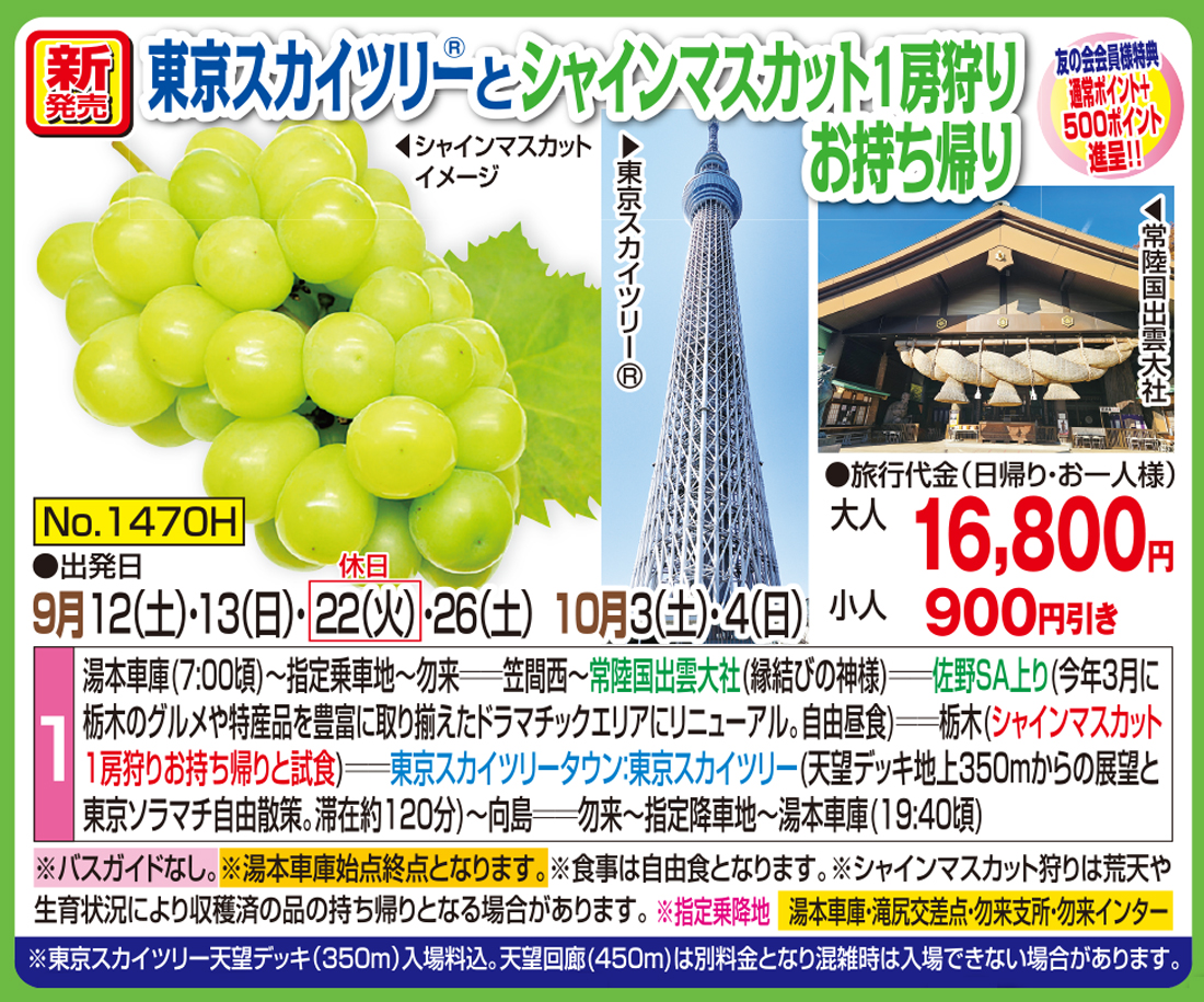 メイン