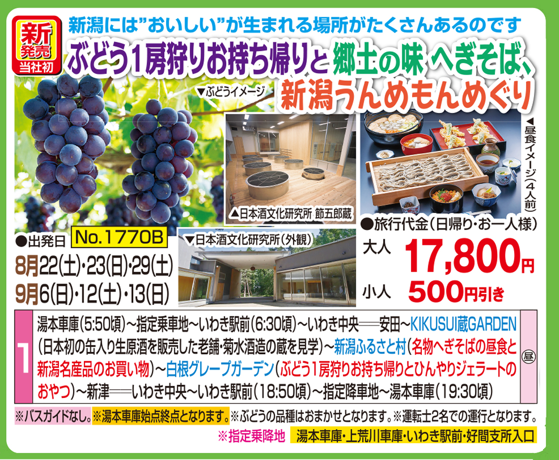 メイン