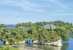 湯沢 湯乃華芸妓と秋の宮温泉