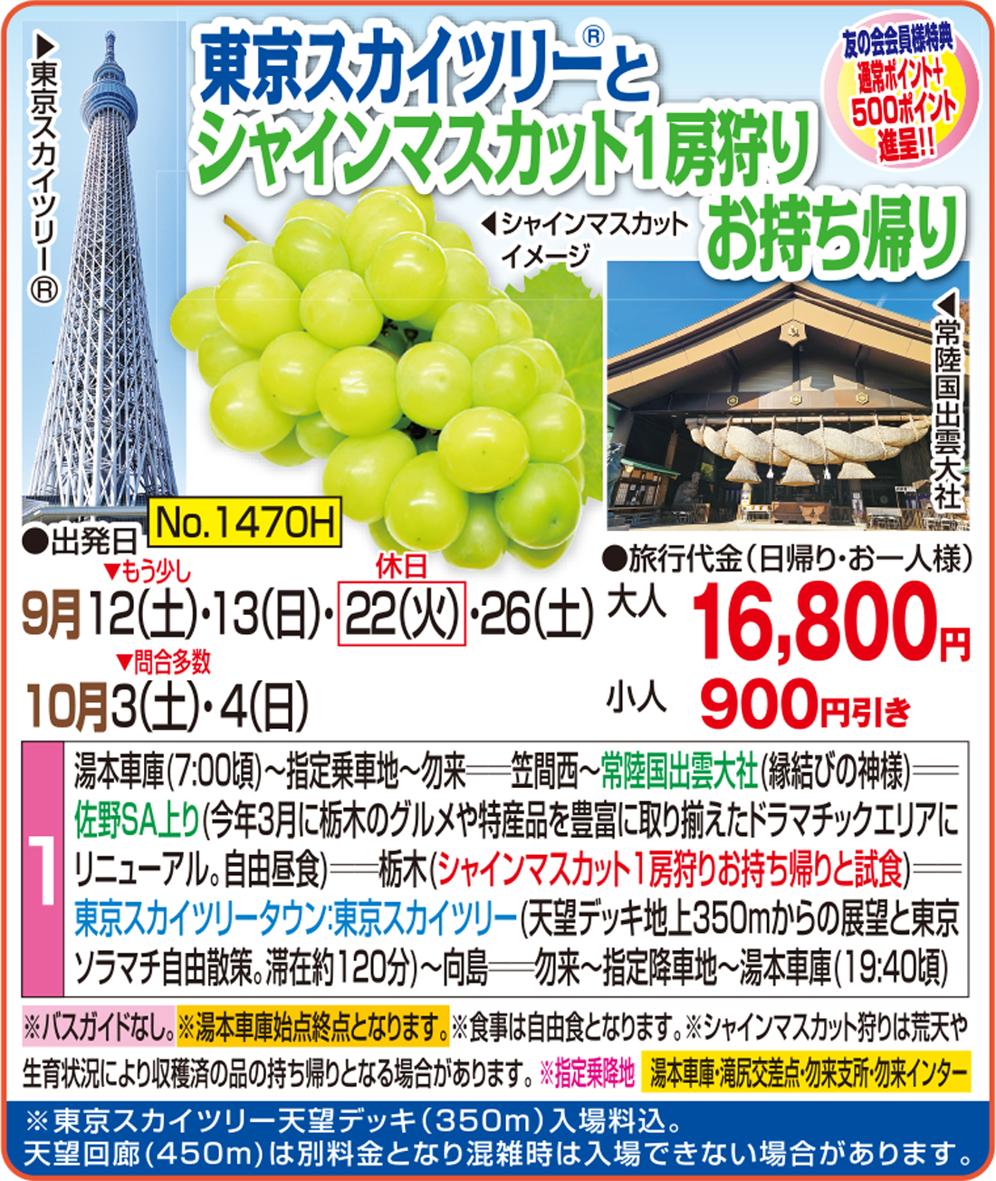 メイン