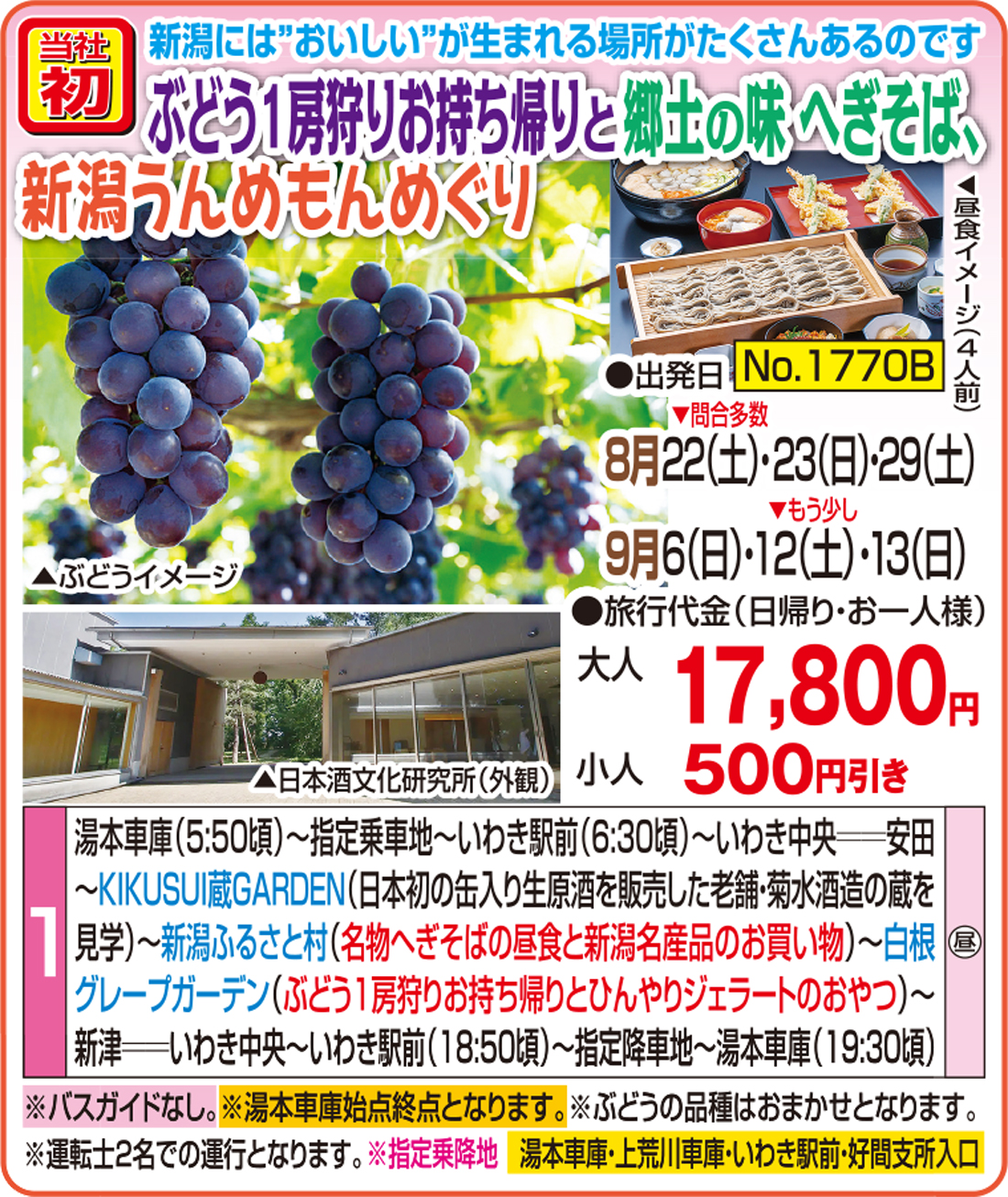 メイン