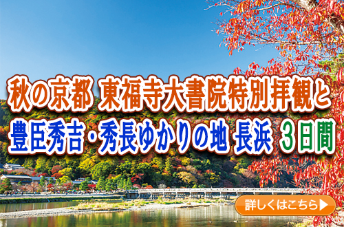 秋の京都　東福寺大書院特別拝観と豊臣秀吉・秀長ゆかりの地 長浜　３日間