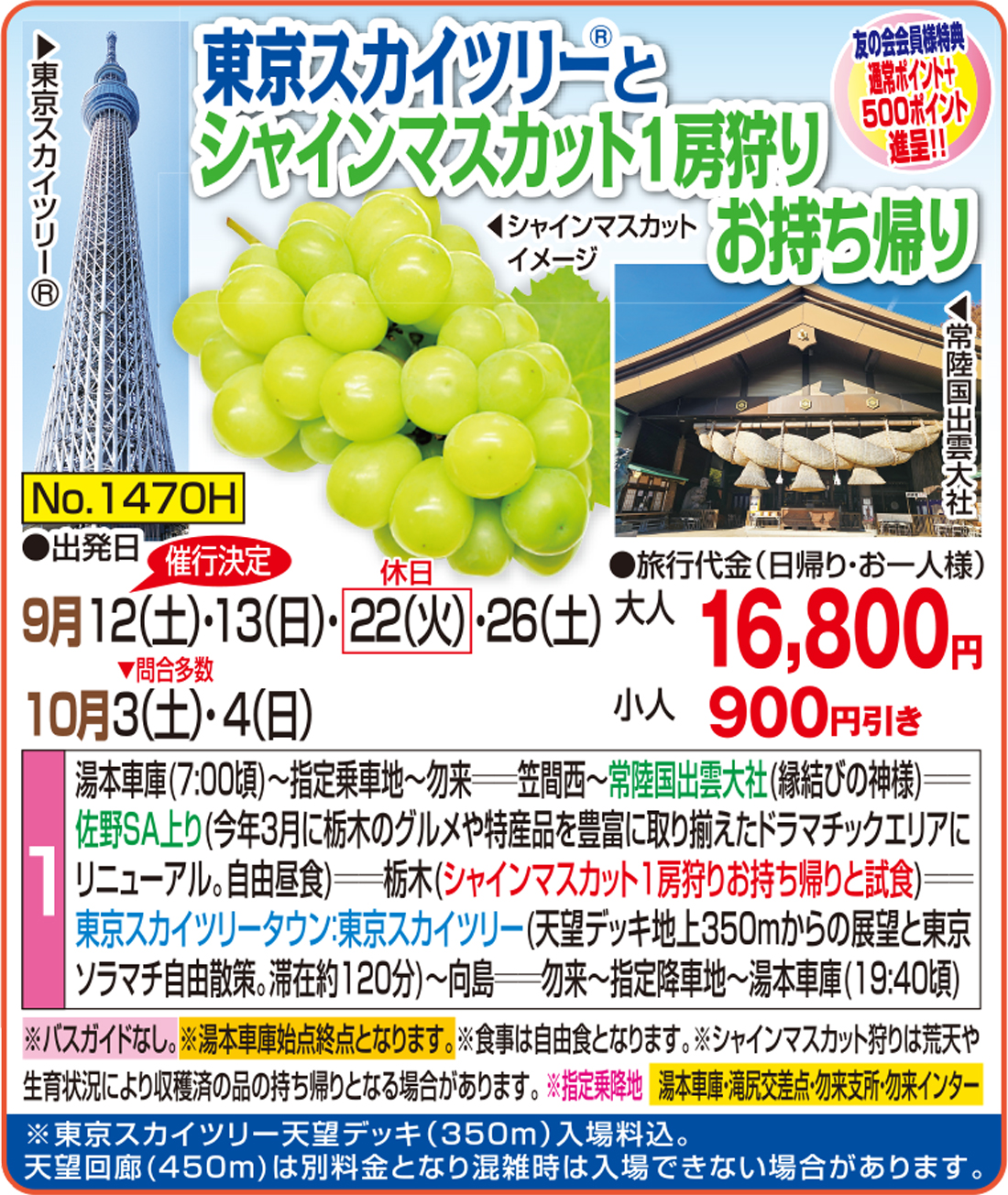 メイン