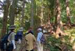 初心者向け ゆっくり低山登山コース