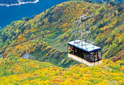 黒部峡谷トロッコ電車・立山黒部アルペンルート・上高地 3日間