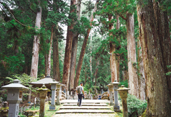 世界遺産 高野山!現地案内人と巡る三大聖地『奥之院・金剛峯寺・壇上伽藍』 3日間