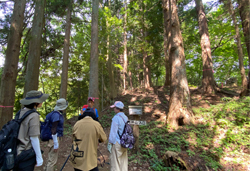 初心者向け ゆっくり低山登山コース